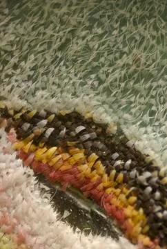 Luna Moth "eye" Wing Pattern Design Stock Photos