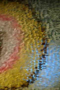 Lunamoth Wing 'eye' Pattern Design-4 Stock Photos