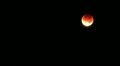 Lunar Eclipse 14 HD HD Footage