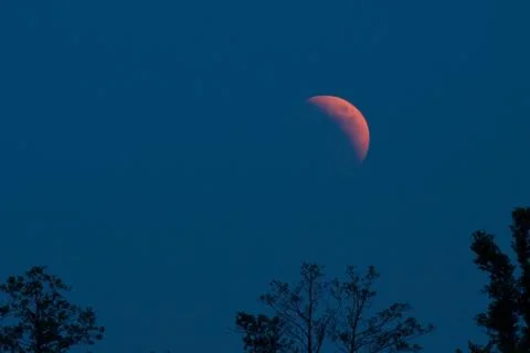 Lunar eclipse 15.6.2011 Stock Photos