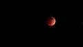Lunar Eclipse 2014 33 Moon and Clouds April HD Footage