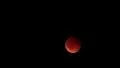 Lunar Eclipse 2014 39 Moon and Clouds April HD Footage