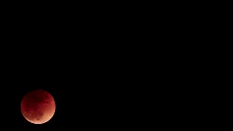Lunar eclipse. The big red moon in the black sky. 31.01.18. Lunar eclipse 2018 Stock Footage 85302478