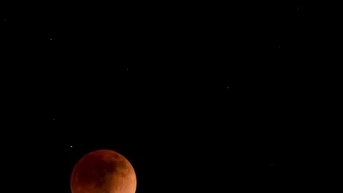 Lunar Eclipse | Blood Moon | 6K Timelapse Stock Footage 194506949