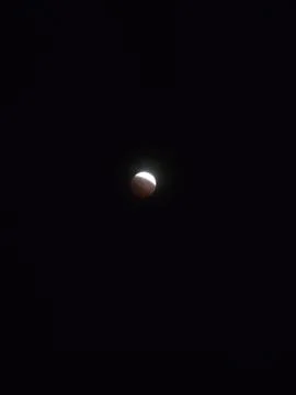 Lunar Eclipse Blood Moon Supermoon Night Sky Astronomy 스톡 사진