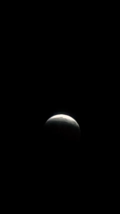 Lunar Eclipse Captured From Backyard in Northern Colorado, Berthoud, Colorado, U Stock-Footage 344701088