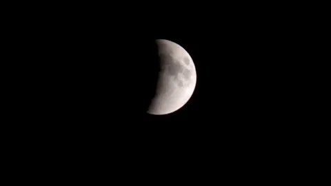 Lunar eclipse. Stock Footage 146134629