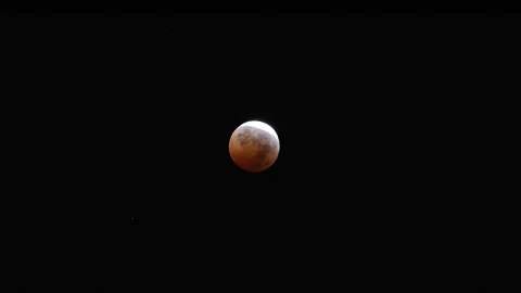 Lunar Eclipse Vídeo Stock 220814640