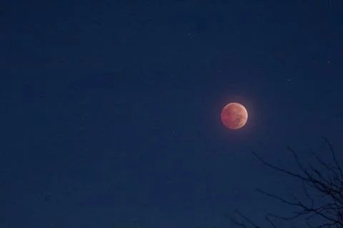 Lunar Eclipse, November 8, 2022, Columbus, Ohio Stock Photos