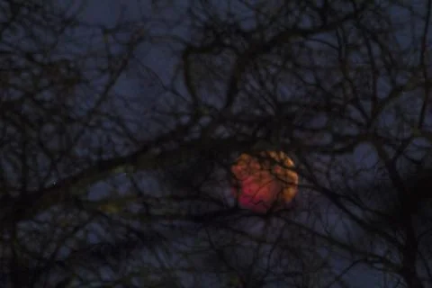 Lunar Eclipse, November 8, 2022, Columbus, Ohio Stock Photos