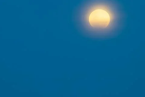Lunar eclipse over tauranga sky Fotos Stock