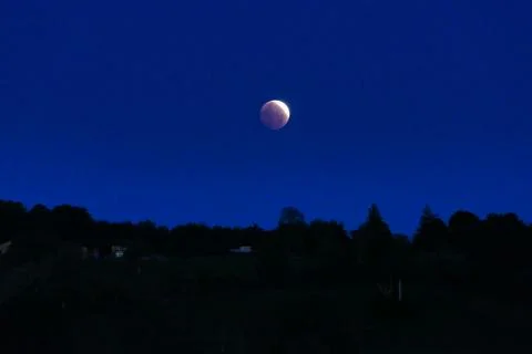 Lunar Eclipse. Stock Photos