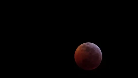 Lunar eclipse in progress against a black sky. Stock Footage 306137332
