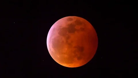 Lunar Eclipse - Super Blood Wolf Moon 스톡 동영상 101545908