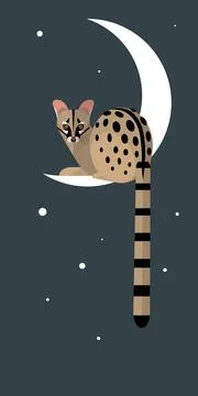 Lunar Genet Stock Illustration