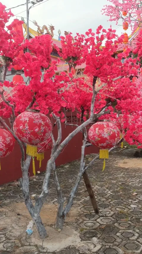 Lunar New Year Decorations with Red Lanterns and Cherry Blossoms Stock Footage 328634060