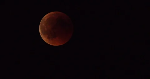 Lunar red eclipse Stock Footage 101625847