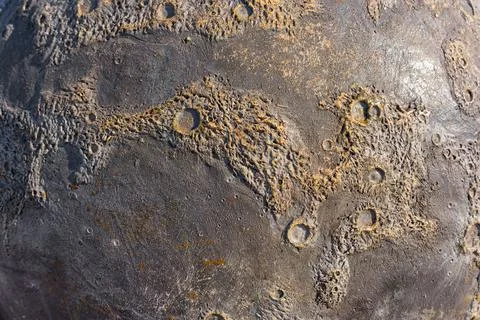 Lunar Surface Patterns Close-up Stock Photos