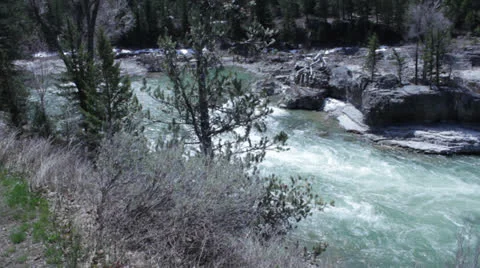 Lunch Counter Stock Footage 22956940