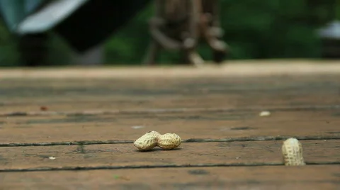 Lunch Video stock 770496