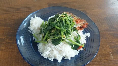 Lunch Stock Footage 262724802