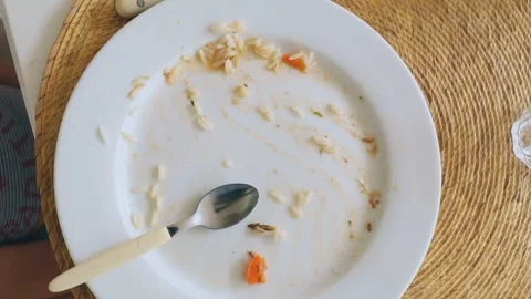 Lunch Remnants Empty Plate with the Last Bits of Rice Stock Footage 305370254