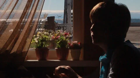 Lunch in a restaurant Stock-Footage 32254181