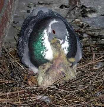 Lunch time. Stock Photos