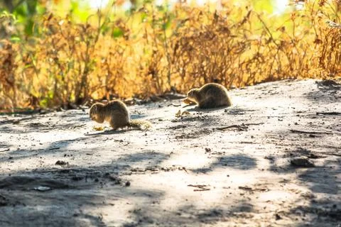 Lunch Time Stock Photos