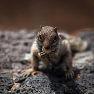 Lunch time Stock Photos
