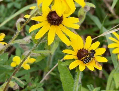 Lunch Time Stock Photos