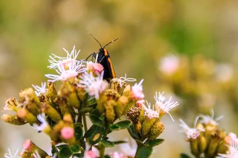 The lunch time Stock Photos
