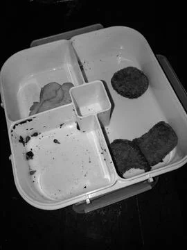 Lunchbox Stock Photos