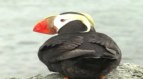 Lund Stock Footage 8760368