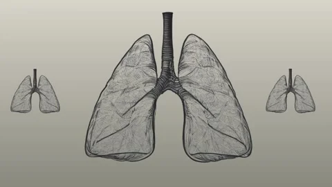 Lung and health Stock Footage 237436024