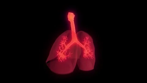 Lung awareness motion animation Stock Footage 282153459