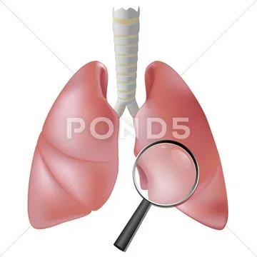 Lung checkup symbol Stock Illustration