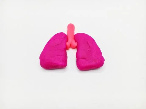 Lung clay Stock Photos
