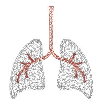 Lung graphic Stock Illustration