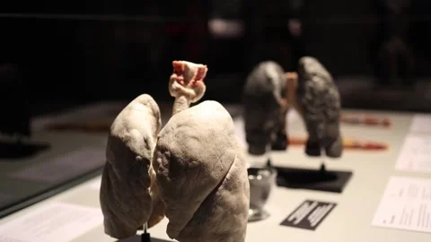 Lung health awareness comparison Stock Footage 331090341