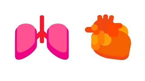 Lung Heart Function Sync 스톡 동영상 335639767