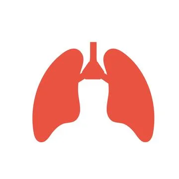 Lung human icon, respiratory system healthy lungs anatomy Stock Illustration