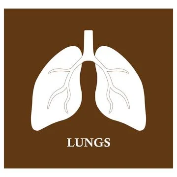 Lung icon Stock Illustration