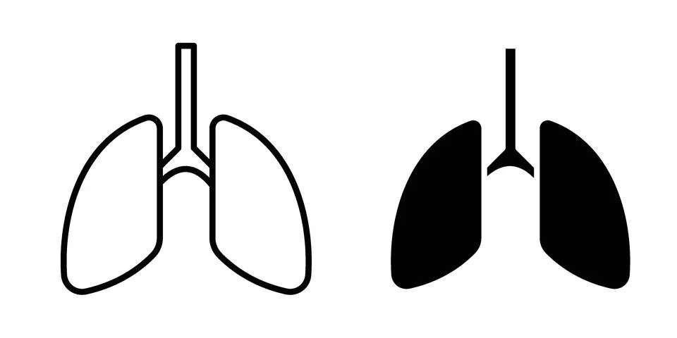 Lung icon vector concepts, line and silhouette style Stock Illustration