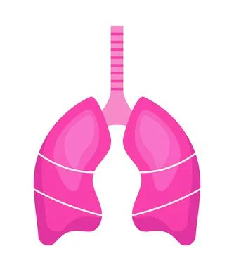 Lung icon vector. Human internal organ are shown. Pneumonia affects the lungs Stock Illustration