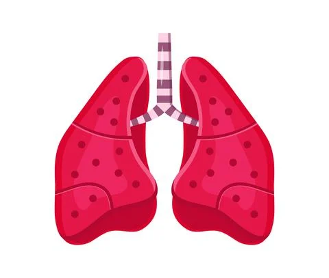 Lung icon vector. Human internal organ are shown. Pneumonia affects the lungs Illustrazione stock