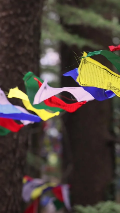 Lung ta prayer flags hang along a mountain path Colorful Tibetan prayer flags Stock Footage 277872691