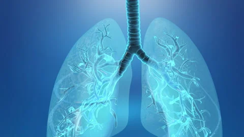 Lung Medical Stock Video Footage | Royalty Free Lung Medical Videos | Pond5