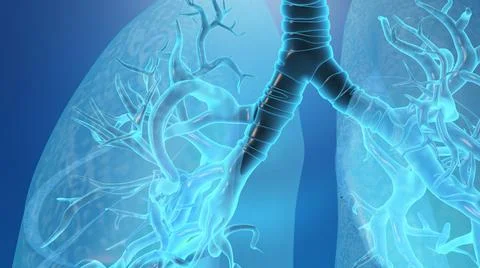 Lung with trachea medical background Stock Illustration