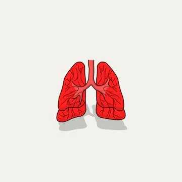 Lungs 10 Stock Illustration